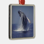 Buckelwal (Megaptera) Ornament Aus Metall (Rechts)
