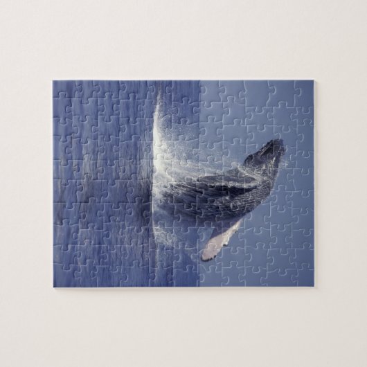 Buckelwal (Megaptera) Puzzle (Horizontal)