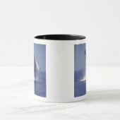 Buckelwal (Megaptera) Tasse (Zentrum)
