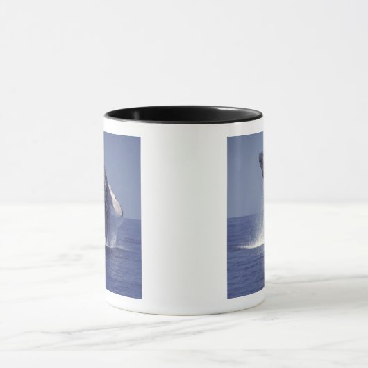 Buckelwal (Megaptera) Tasse (Zentrum)