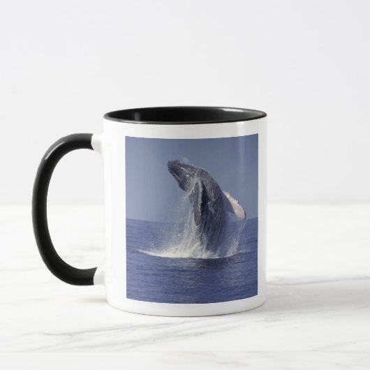 Buckelwal (Megaptera) Tasse (Links)