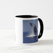 Buckelwal (Megaptera) Tasse (VorderseiteRechts)