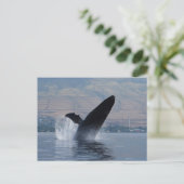 Buckelwal Postkarte (Stehend Vorderseite)