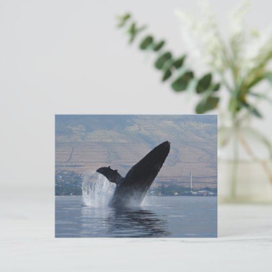 Buckelwal Postkarte (Stehend Vorderseite)