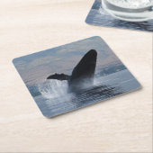 Buckelwal Rechteckiger Pappuntersetzer (angewinkelt)