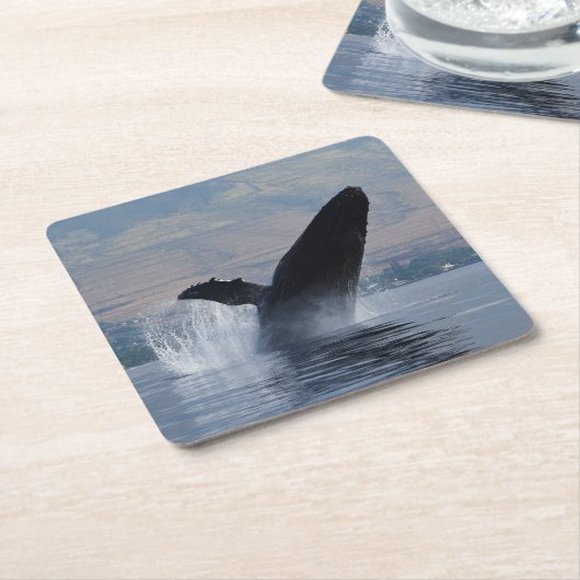 Buckelwal Rechteckiger Pappuntersetzer (angewinkelt)