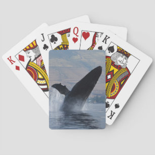 Buckelwal Spielkarten