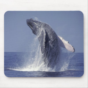 Buckelwal springt aus dem Wasser (Megaptera Mousepad