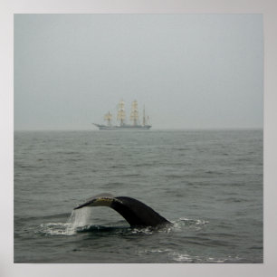 Buckelwal und Tall Ship 2 Druck Poster