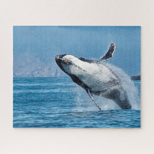 Buckelwale von Jigsaw. Puzzle