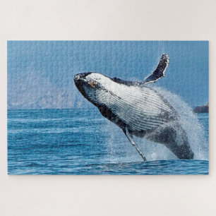 Buckelwale von Jigsaw. Puzzle