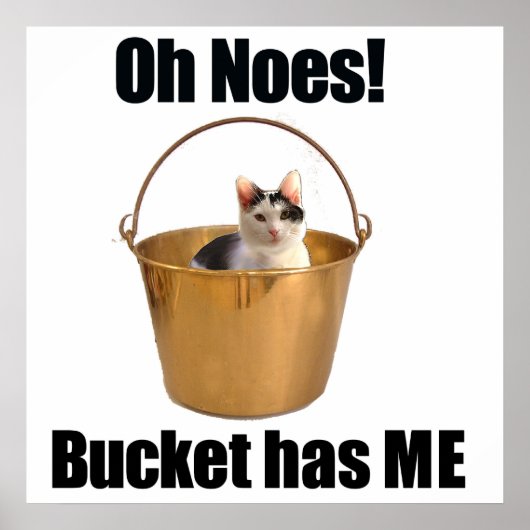 Bucket Cat Poster (Vorne)