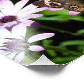 Buckeye Butterfly auf Purple Flowers Fotodruck (Ecke)