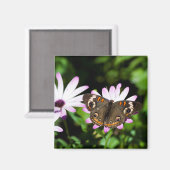 Buckeye Butterfly auf Purple Flowers Magnet (Vorderseite/Rückseite)