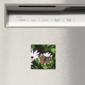 Buckeye Butterfly auf Purple Flowers Magnet (In Situ (Geschirrspüler))