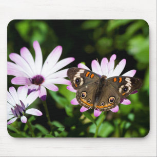 Buckeye Butterfly auf Purple Flowers Mousepad