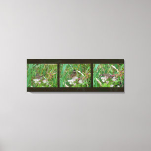 Buckeye Butterfly Triptych Leinwanddruck