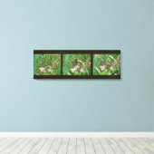 Buckeye Butterfly Triptych Leinwanddruck (Insitu (Holzboden))