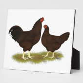 Buckeye Chickens Fotoplatte (Seite)