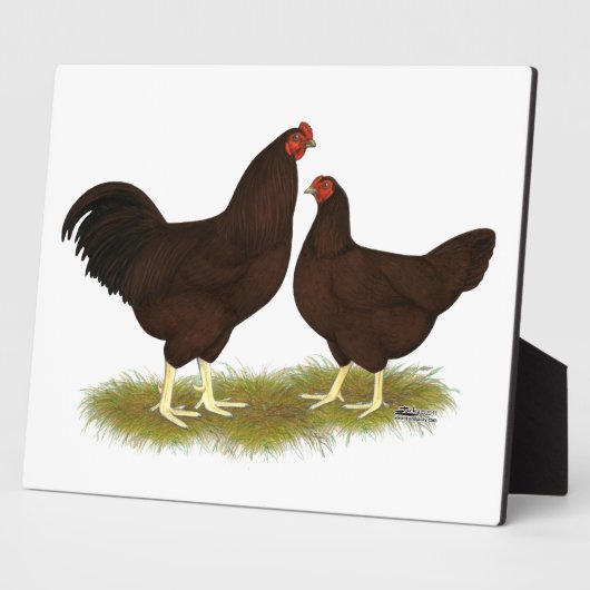 Buckeye Chickens Fotoplatte (Seite)