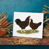 Buckeye Chickens Fotoplatte (Seite)