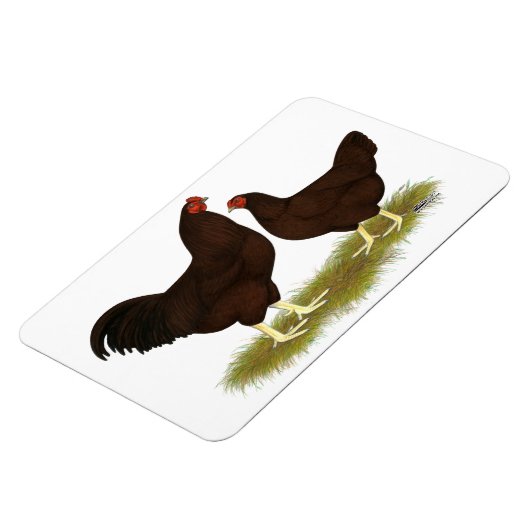Buckeye Chickens Magnet (Linke Seite)