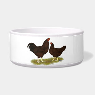 Buckeye Chickens Napf