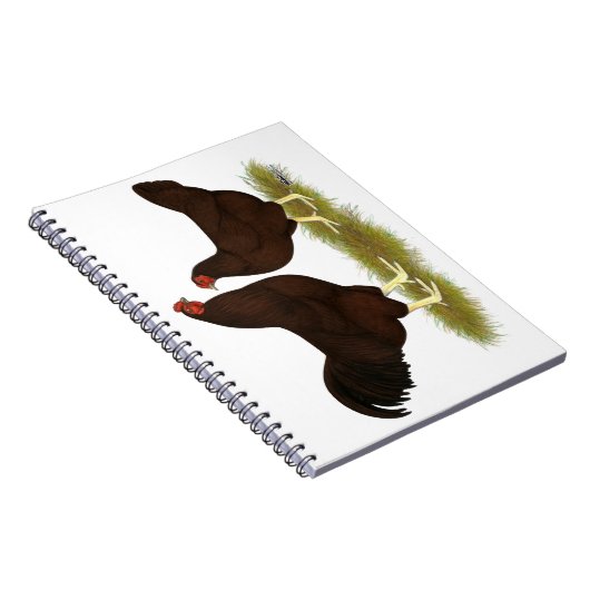 Buckeye Chickens Notizblock (Rechte Seite)