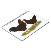 Buckeye Chickens Notizblock (Linke Seite)