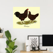 Buckeye Chickens Poster (Heimbüro)