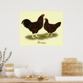 Buckeye Chickens Poster (Küche)