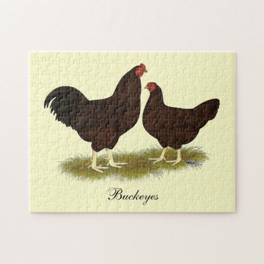 Buckeye Chickens Puzzle (Horizontal)