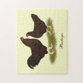 Buckeye Chickens Puzzle (Vertikal)