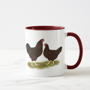 Buckeye Chickens Tasse
