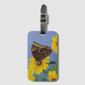 Buckeye-Schmetterling auf gelber Aster Gepäckanhänger (Vorderseite Vertikal)