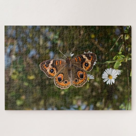 Buckeye-Schmetterling Puzzle (Horizontal)