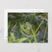 Buckfield Frosch Postkarte (Vorne/Hinten)