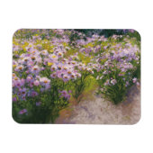 Buckhorn Aster Show Magnet (Horizontal)
