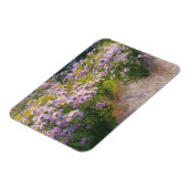 Buckhorn Aster Show Magnet (Linke Seite)