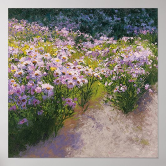 Buckhorn Aster Show Poster (Vorne)