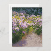 Buckhorn Aster-Show Postkarte (Vorne/Hinten)