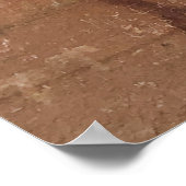 Buckhorn Wash Angel Pictograph Poster (Ecke)