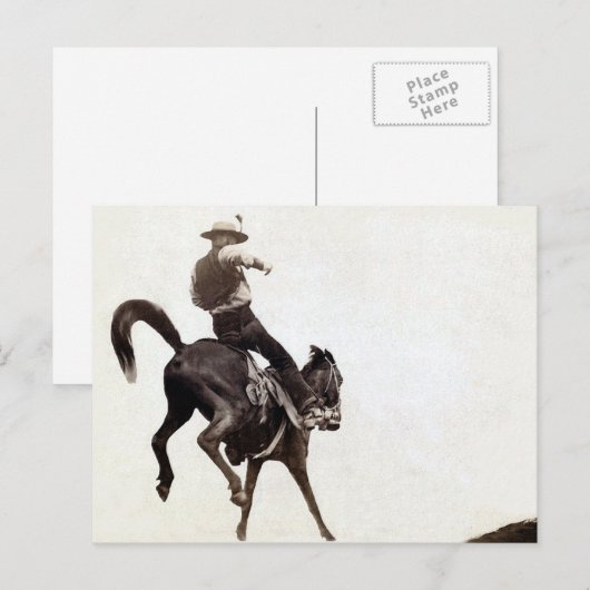 Bucking Bronco Postkarte (Vorne/Hinten)