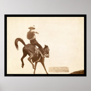 Bucking Bronco SD 1888 Poster