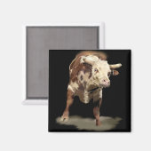 Bucking Bull Magnet (Vorderseite/Rückseite)