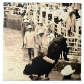 Bucking Bull Rodeo Rider Picture Fliese (Vorderseite)