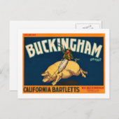 Buckingham Bartlett Apples - Vintages Kratetikett Postkarte (Vorne/Hinten)