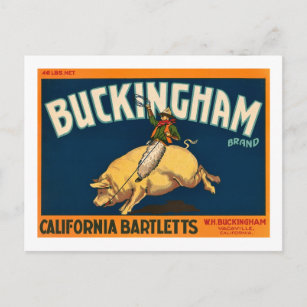 Buckingham Bartlett Apples - Vintages Kratetikett Postkarte