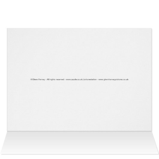 Buckingham Palace London (Innenansicht Horizontal (Oben))