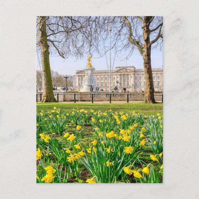Buckingham Palace, London UK Postcard Postkarte (Vorderseite)
